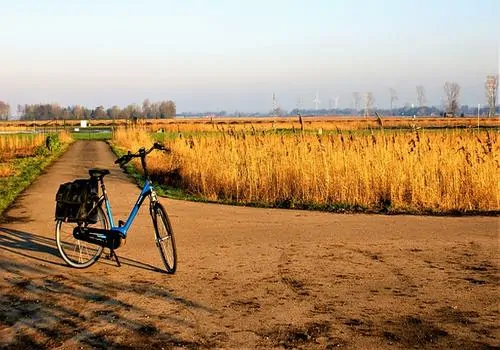 71-1-electric assist mountain bike 71-1-electric assist mountain bike